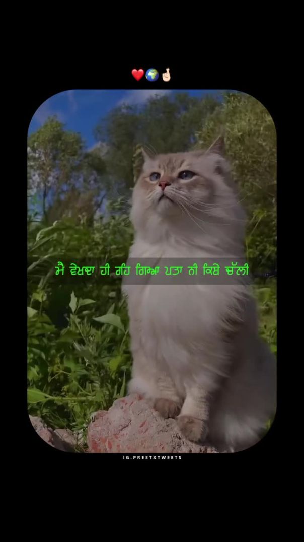 preetx_tweets__-20251003-0001