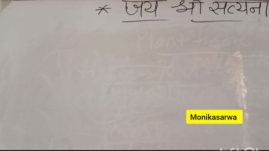 InShot_20251230_130739897