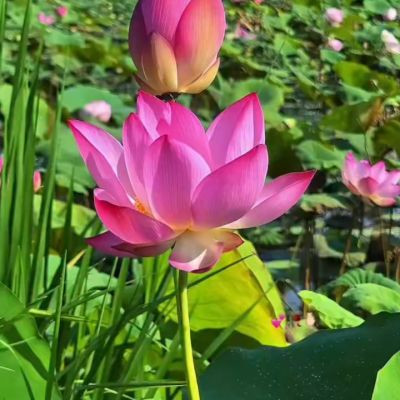 112361480184331446182