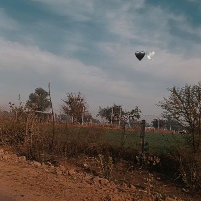 raju1366363 raju1366363