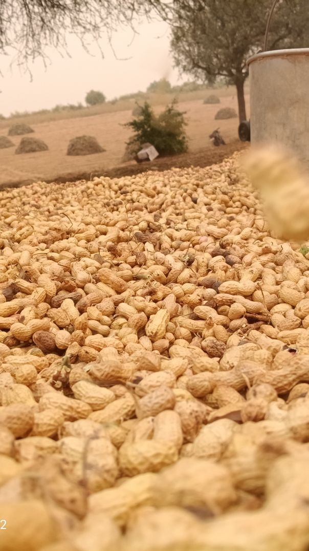 video_20251231_140648