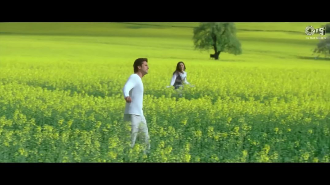 ⁣Jabse Dekha Khoye Khoye - Kuch Tum Kaho Kuch Hum Kahein _ Fardeen _ Richa _ Kumar Sanu _ Alka(2K_HD)