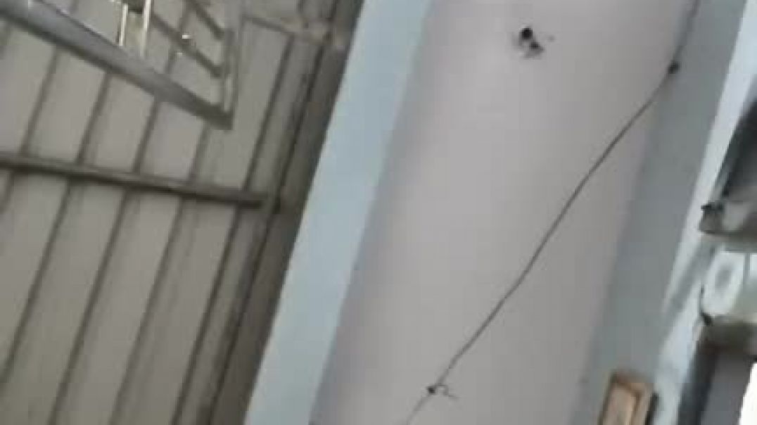 नाशिक ढोल