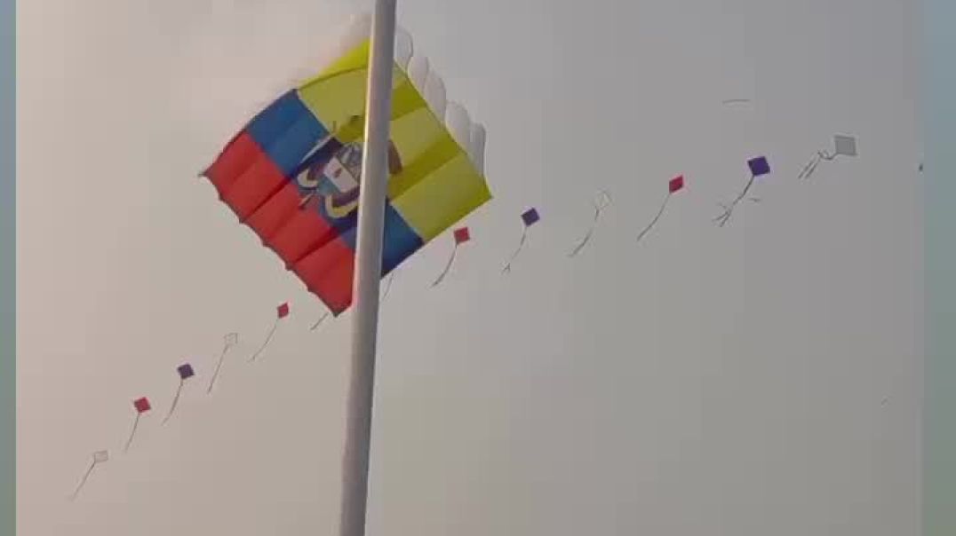 Patang 😁🤣 patang