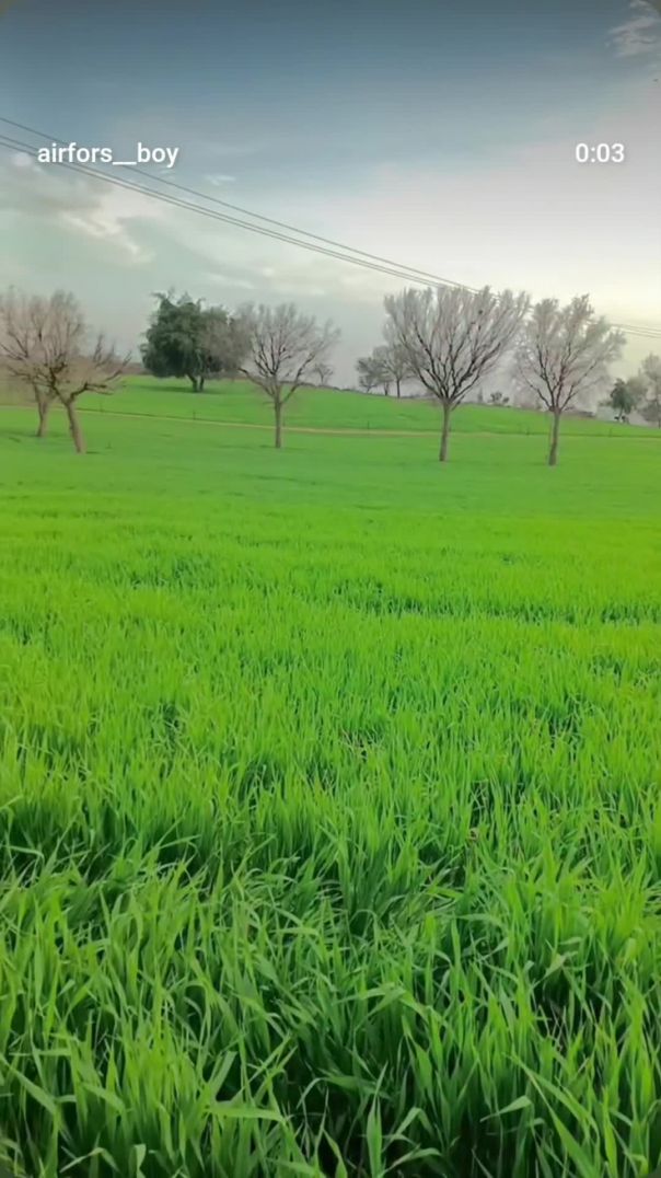 VID_20260127_034007_366