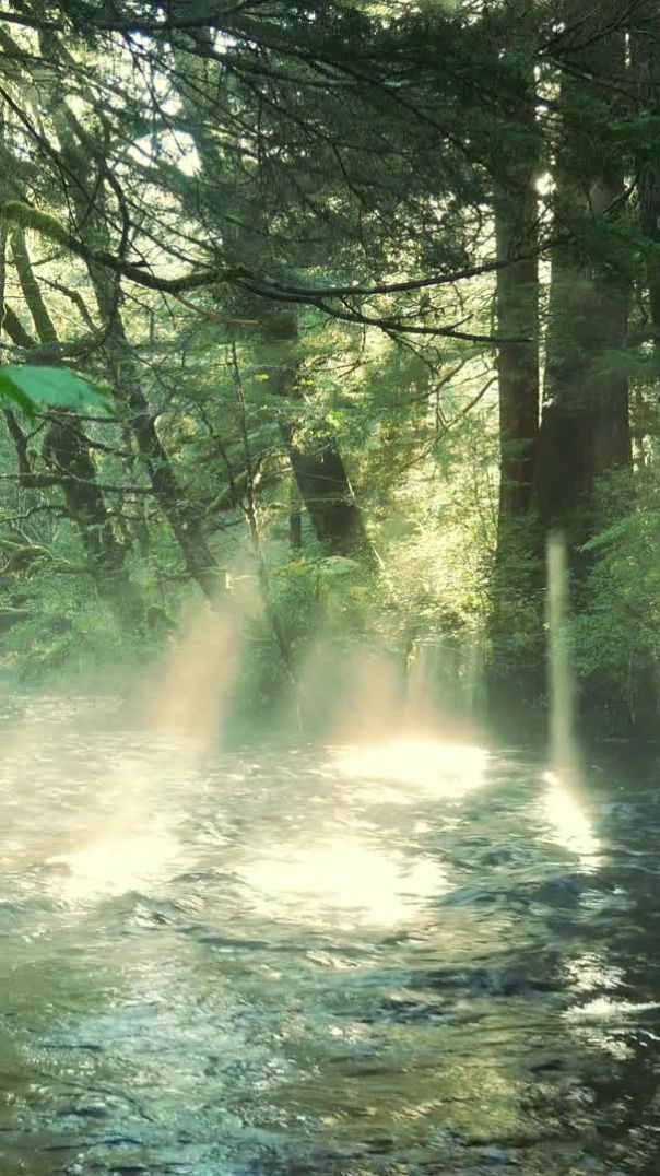 px-download287510_small