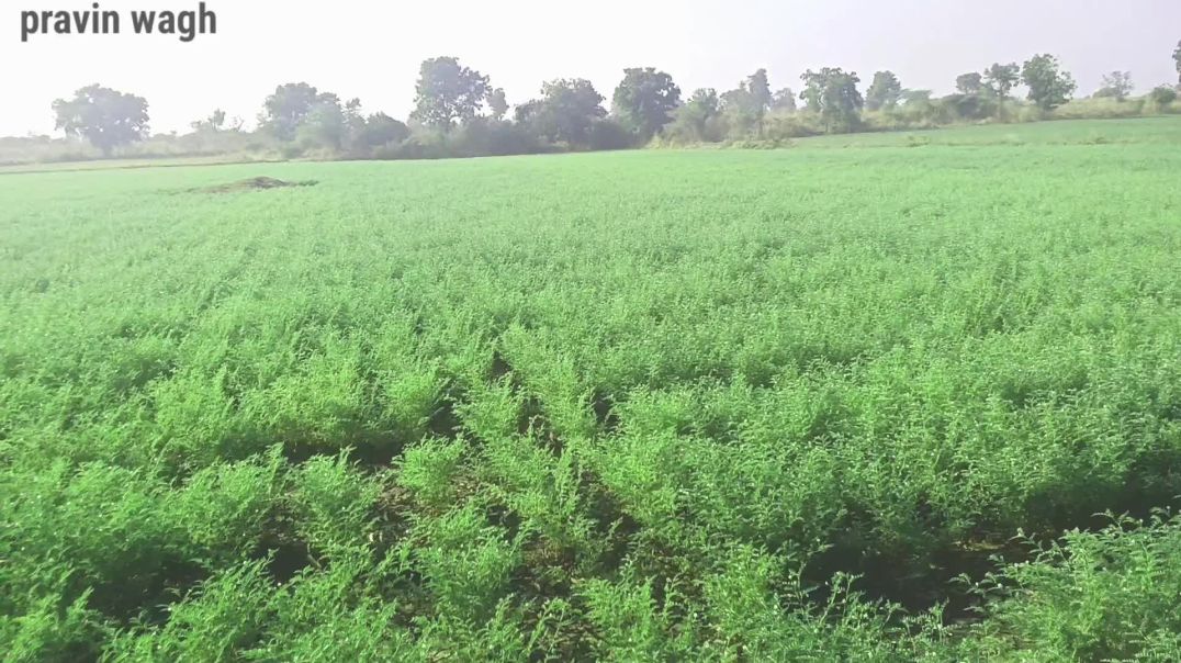 ⁣Viral vlog video 🥰🥰#newvlog2026#viralvlog#trendingvlog