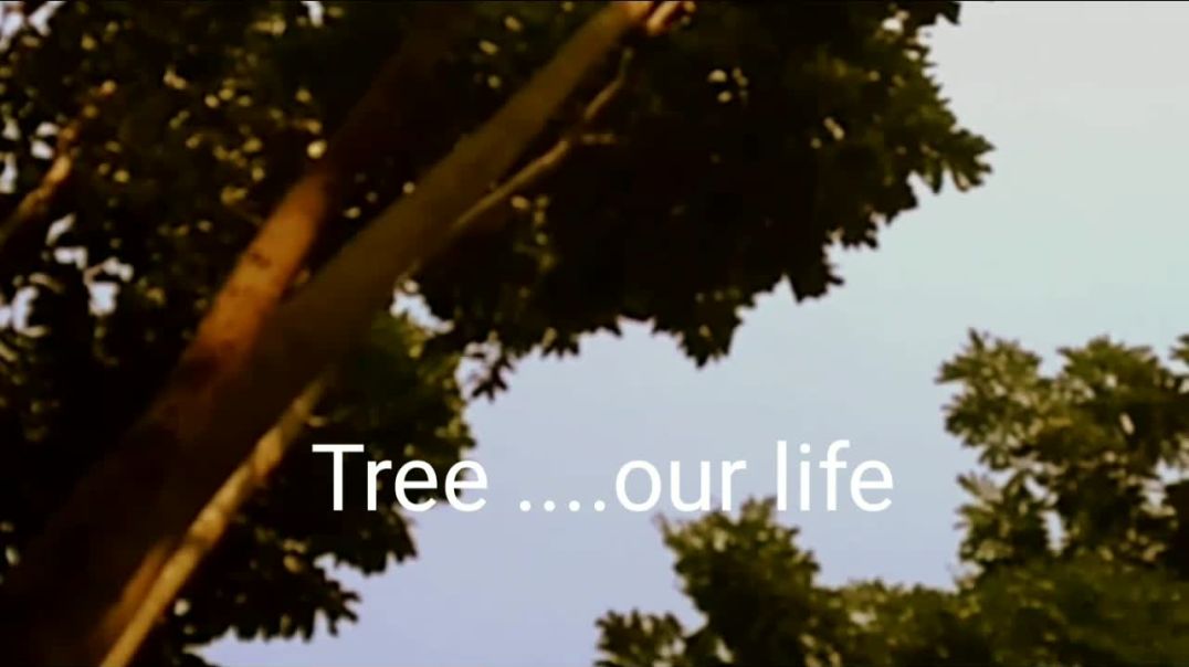⁣Tree our Life