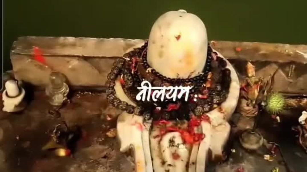 ⁣snapsave-app_3799395887987033826