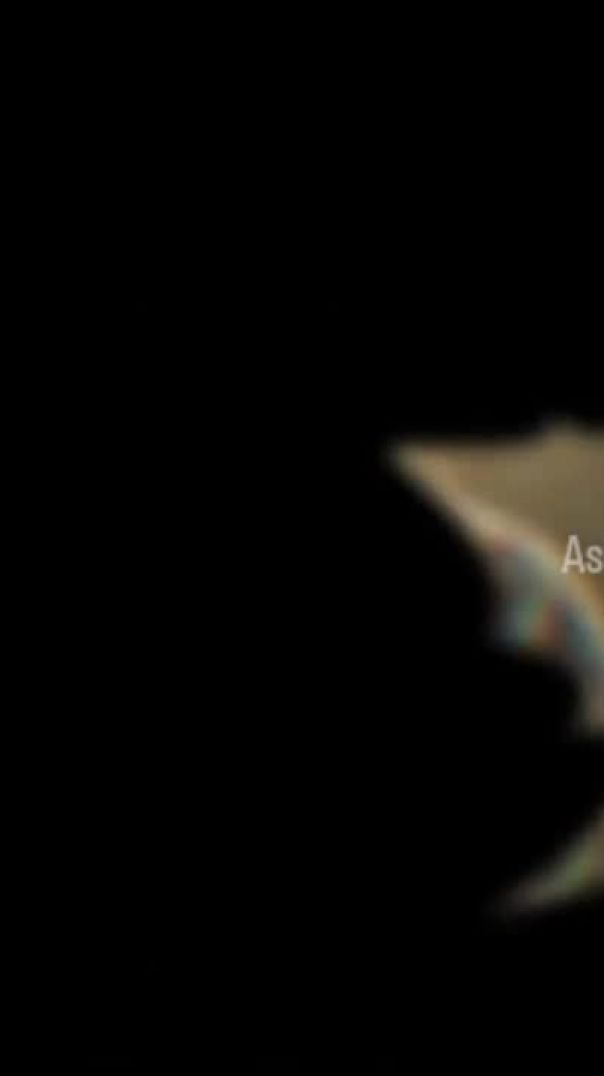 VID_20251228_200111_035_20251231_065534_20251231_065709