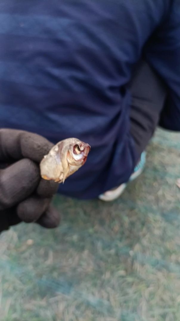 video_20260101_142745