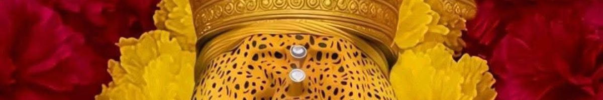 Unlimited Zone✔️