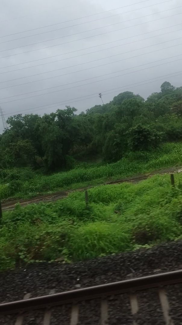 video_20250616_101014