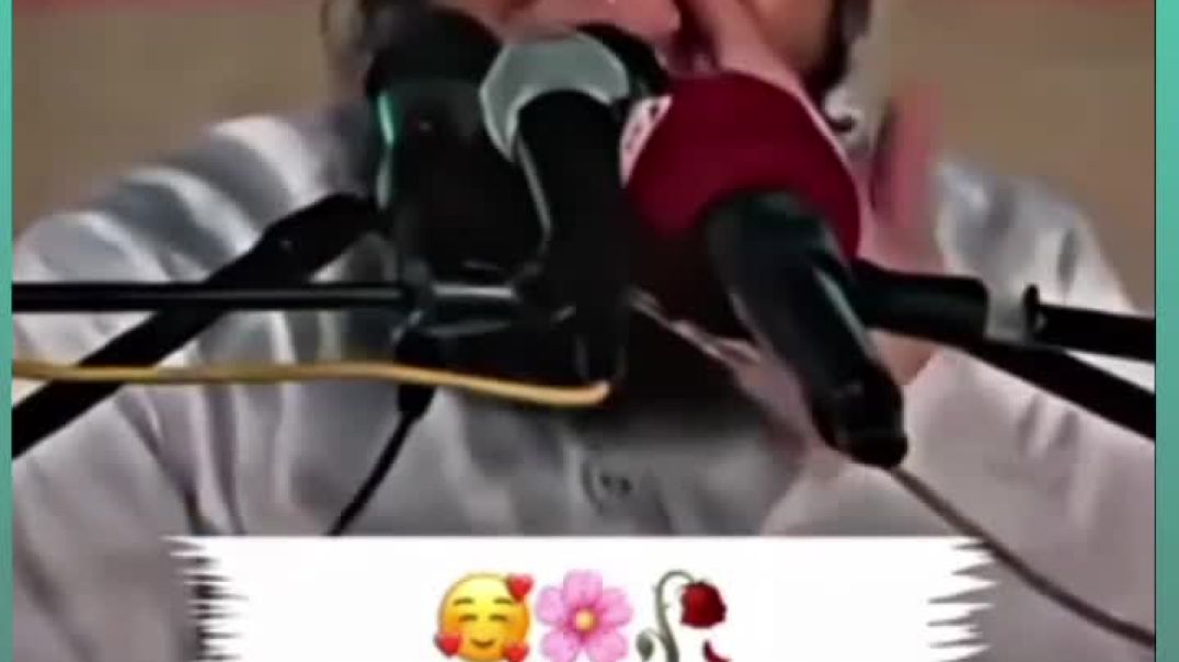 ⁣🌹 Hamare Nabi ﷺ Kaise The_ _ Maulana Tariq Jameel Bayan 💖__HamareNabi ﷺ__NabiKiZindagi__SeeratUnNabi