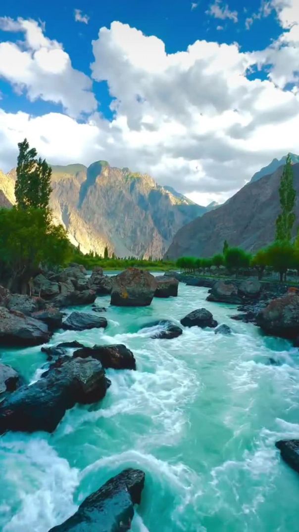 VID_20260105_034127_904