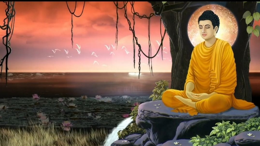 ⁣Budha STORY - (1)