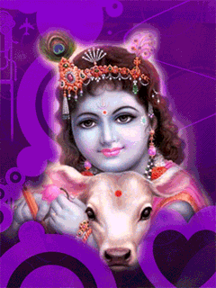 116535794484511663219