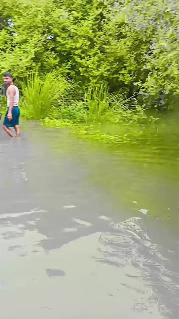 VID_97040913_062924_547