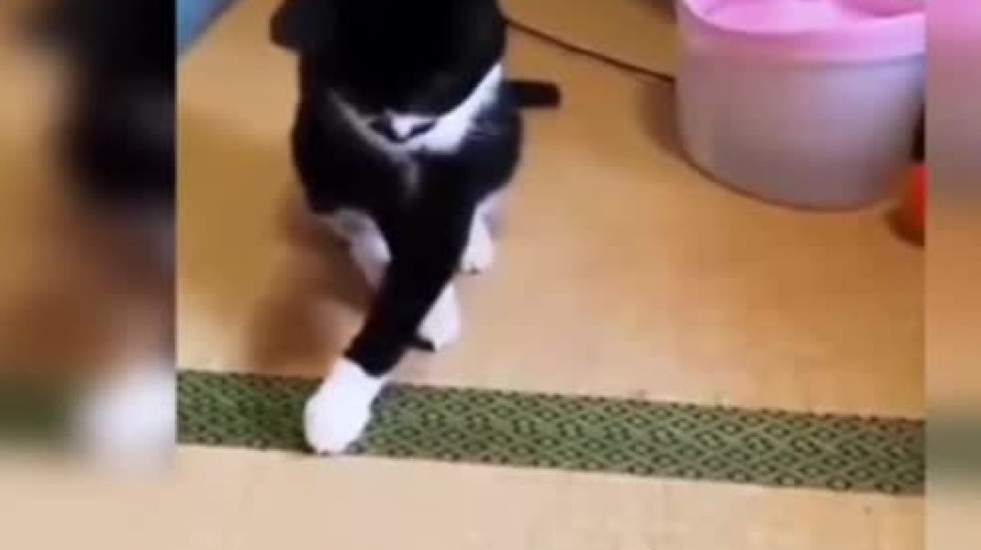 ⁣screen-20260130-155721~2