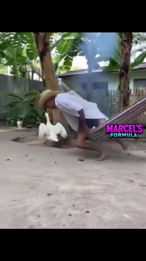 Duck 🦆 Funny🤣😂 Movement 2