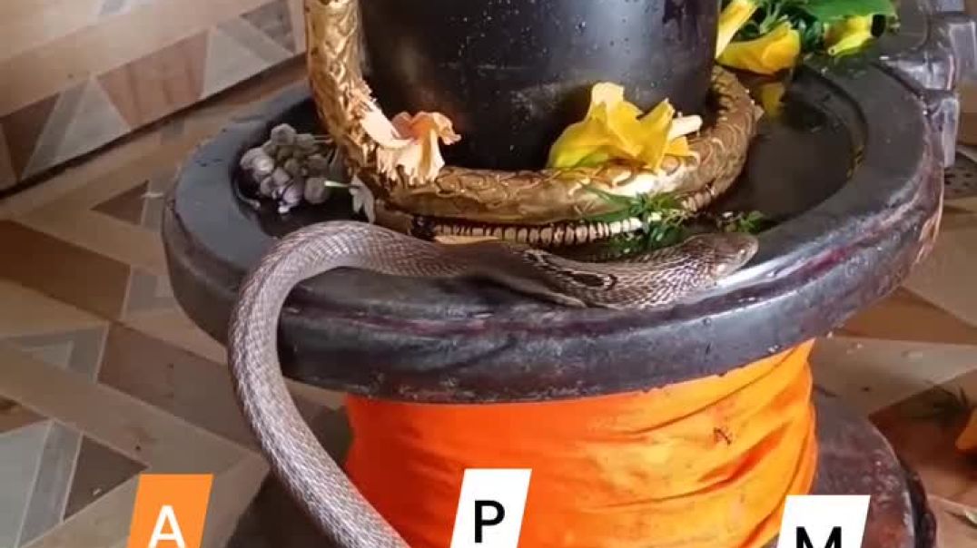 Lucky Person for your name First Alphabet