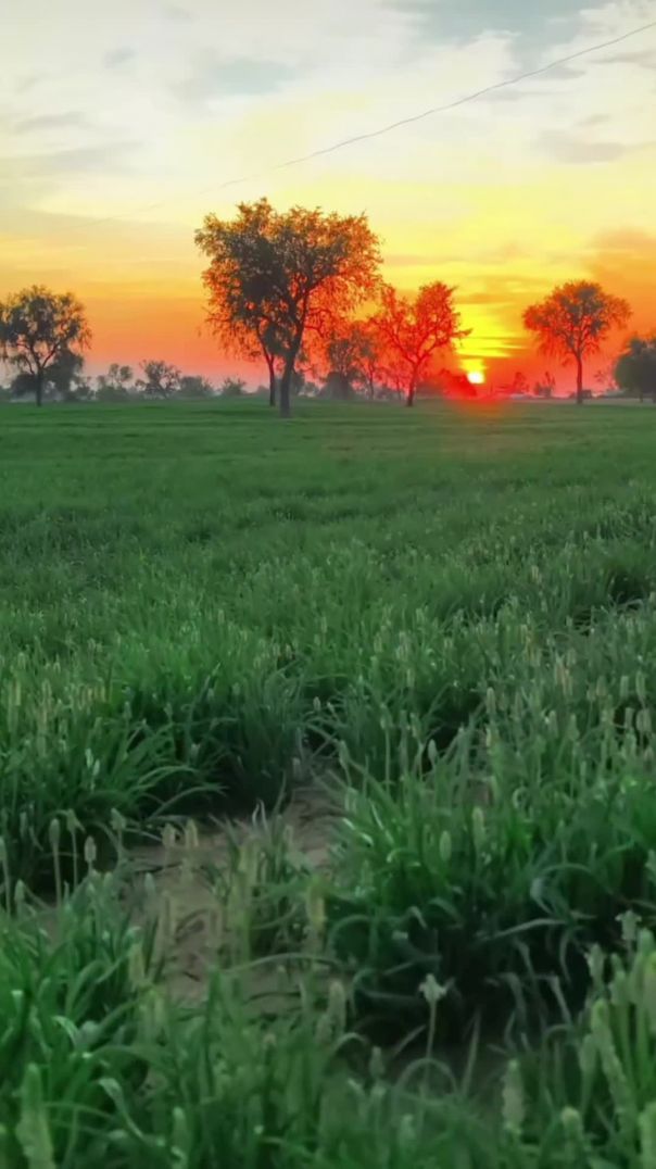 VID_20260128_084229_349