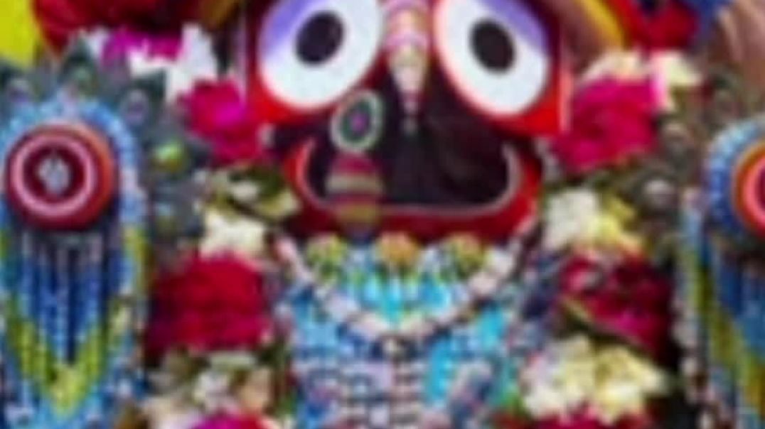 InShot_20250402_160843909