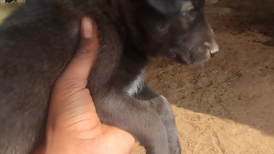 VID_20260103_112732438