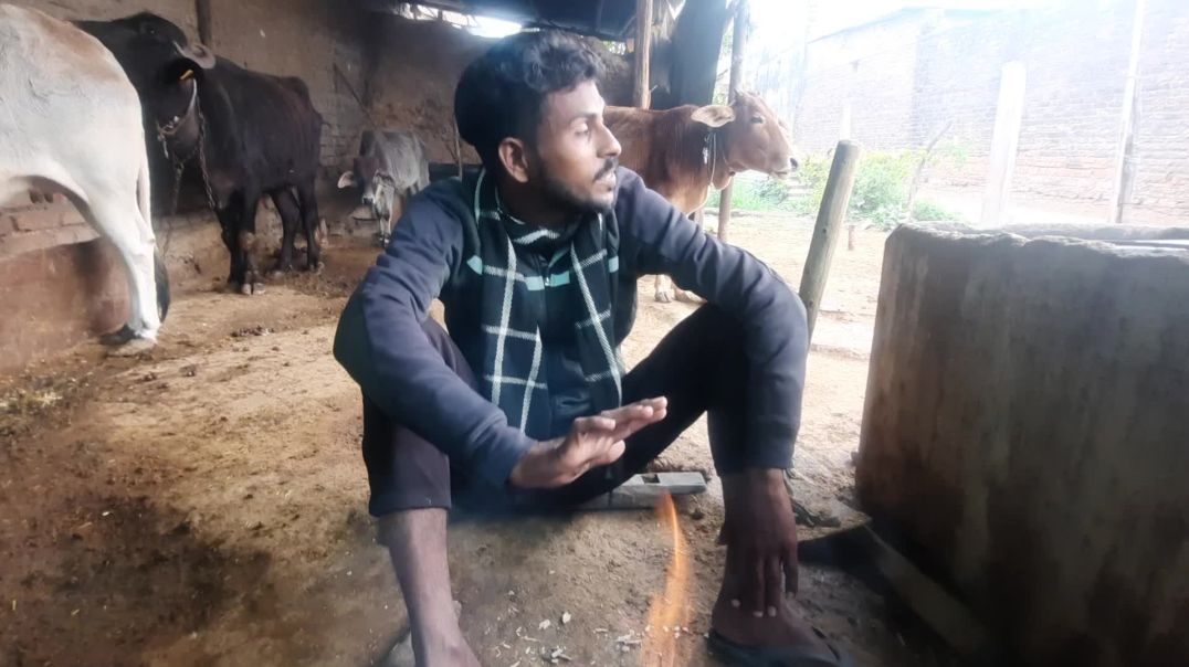 नया साल को प्लान हो गया cencal