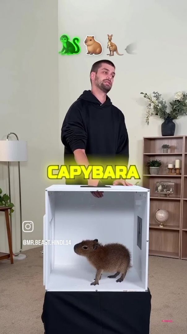 VID_20260120_062828_705