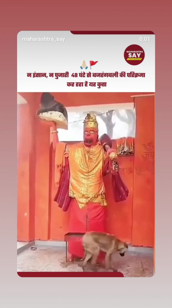 VID_20260115_191657_291