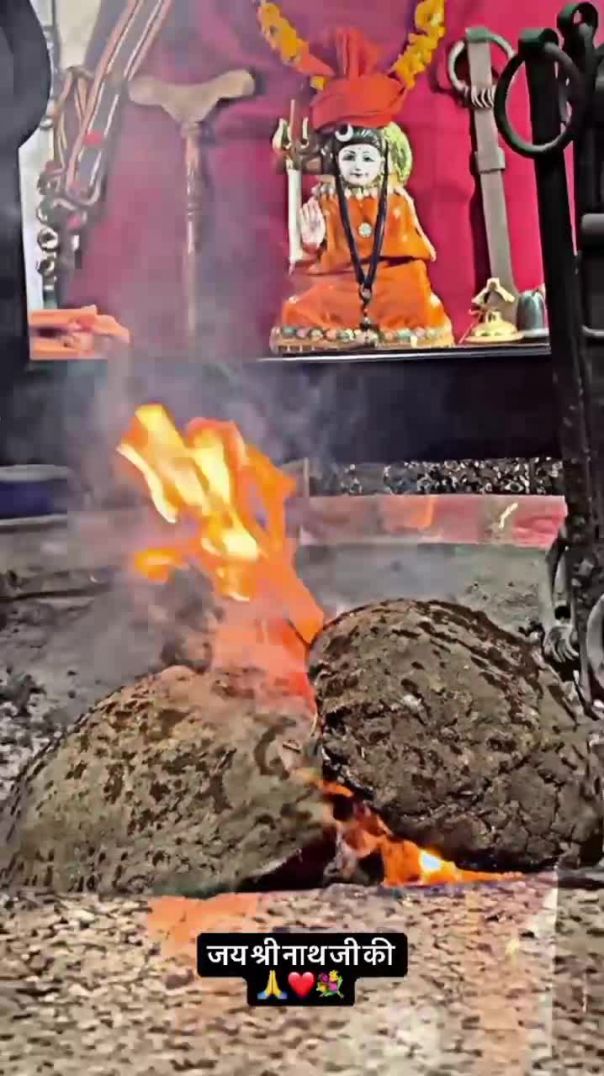 VID_20260128_224709_547