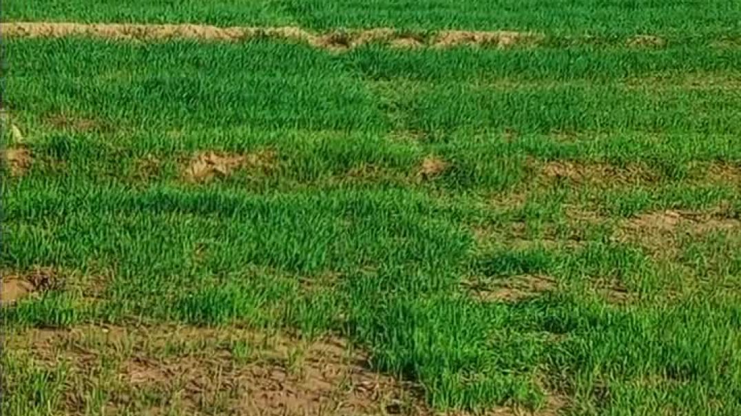 ⁣रोजडे 😂🤣🤣#funnyvideo #shorts #viral #tranding