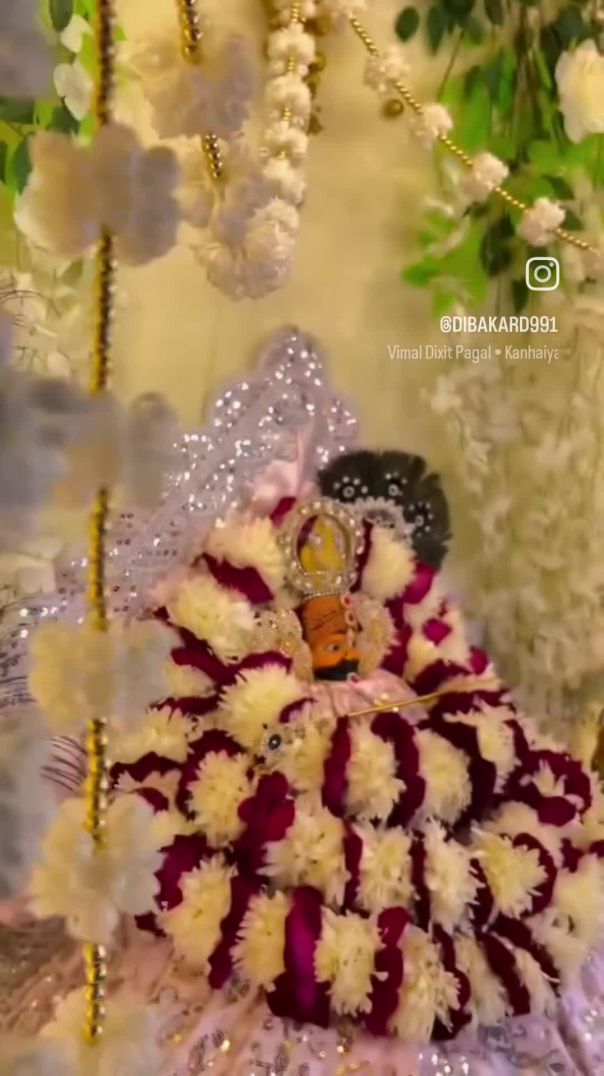 VID_20260120_161608_454