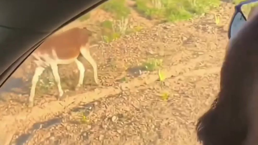 ⁣Papa mere Papa 😜🤪