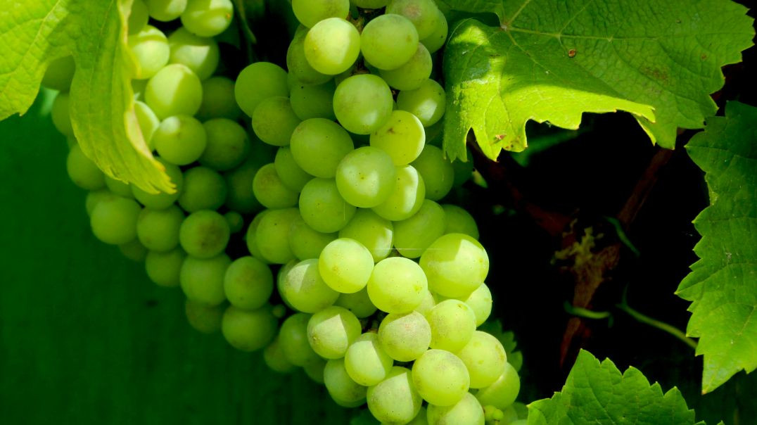 ⁣Snapchat-1636918439