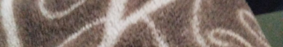 116596349156148377629 