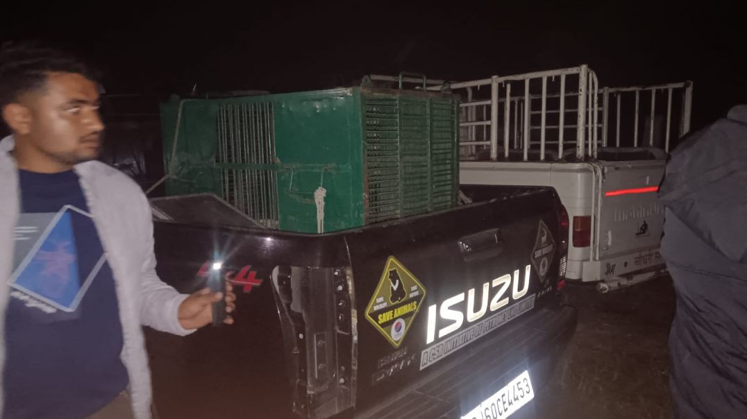 ⁣Cobra (2022) South Hindi Dubbed Movie SDTV 480p