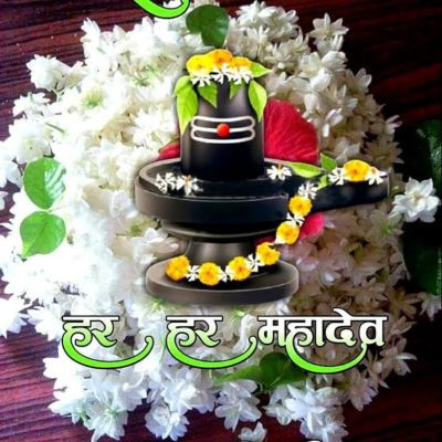 112950322974021940725