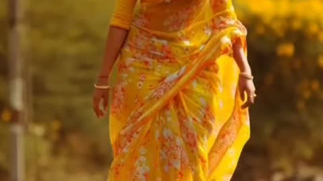 ⁣Evening Walk 😍😄😸😸😸