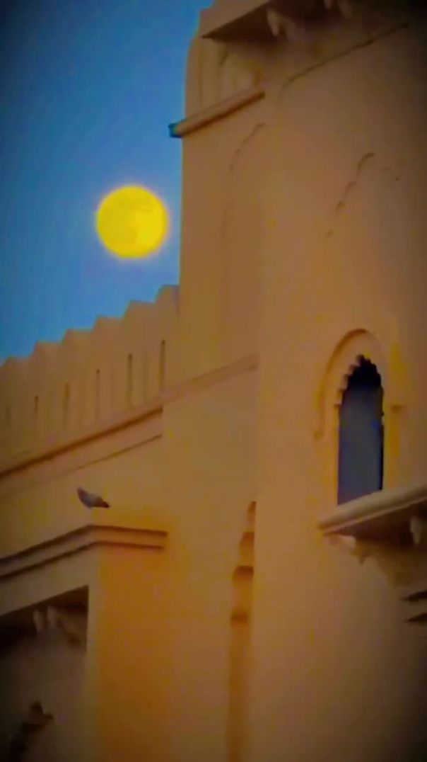 %23_gulabgarh+resort+%23_pallu_%F0%9F%92%95%F0%9F%A6%8B+%23_treding_%E0%A4%98%E0%A4%AE%E0%A4%82%E0%A