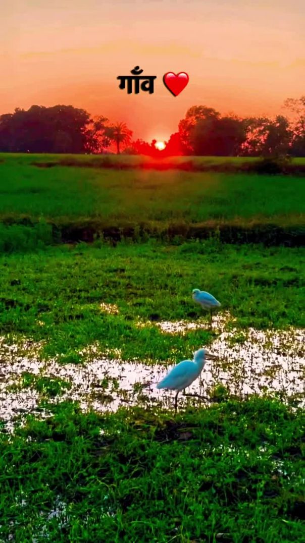 Agriculture is very important