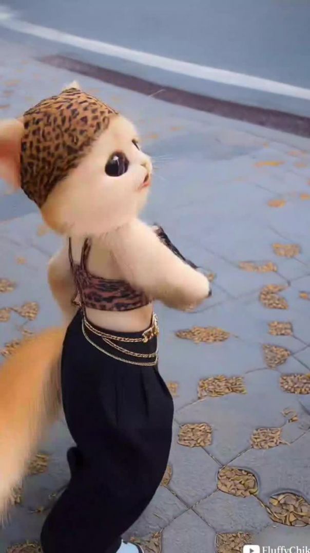 दील ना दीय न्यु वीडियो