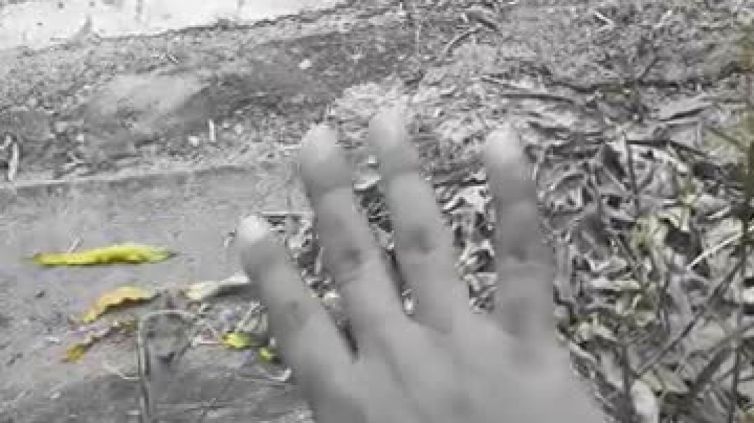 like_subscribe_pahe_tha_asa