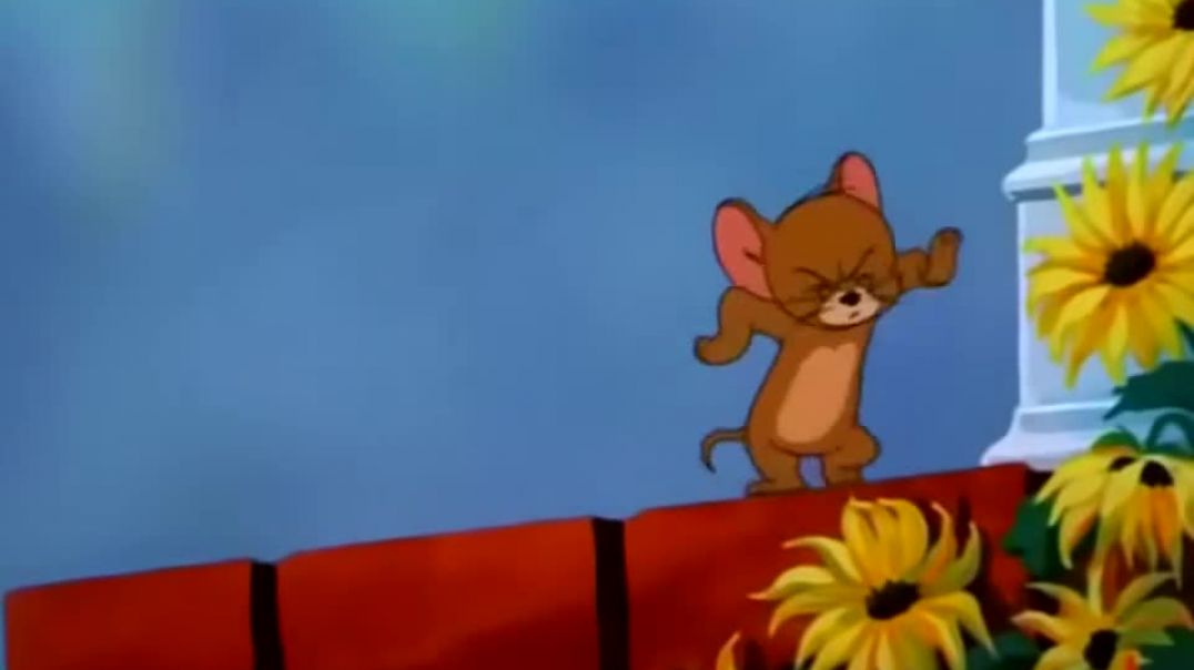 ⁣Tom_and_jerry🤣Tom_and_jerry🤣_#tomandjerry_#tomandjerryfunny(720p)