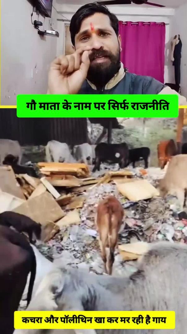 ⁣⁣गौ माता बनी बोझ, राजनीति बनी मौज! #viralShorts #apnatube