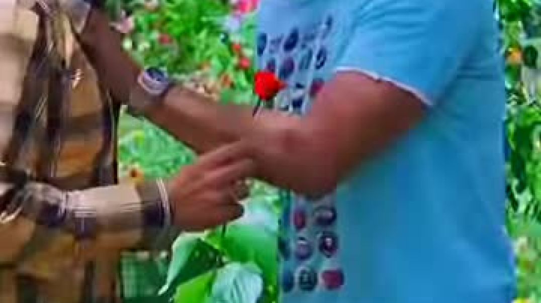 ⁣Video by onlyforaishwarya [DMM7JzTPSI6]