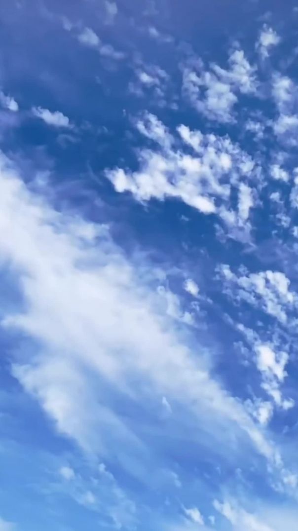 VID_20260108_192824_421