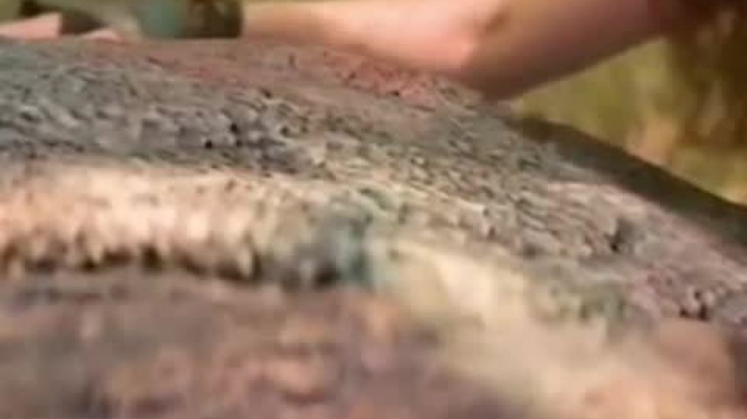 ⁣लड़की ने अचानक क्या देखा #shorts#filmy#filmystory#cinematic #storytelling