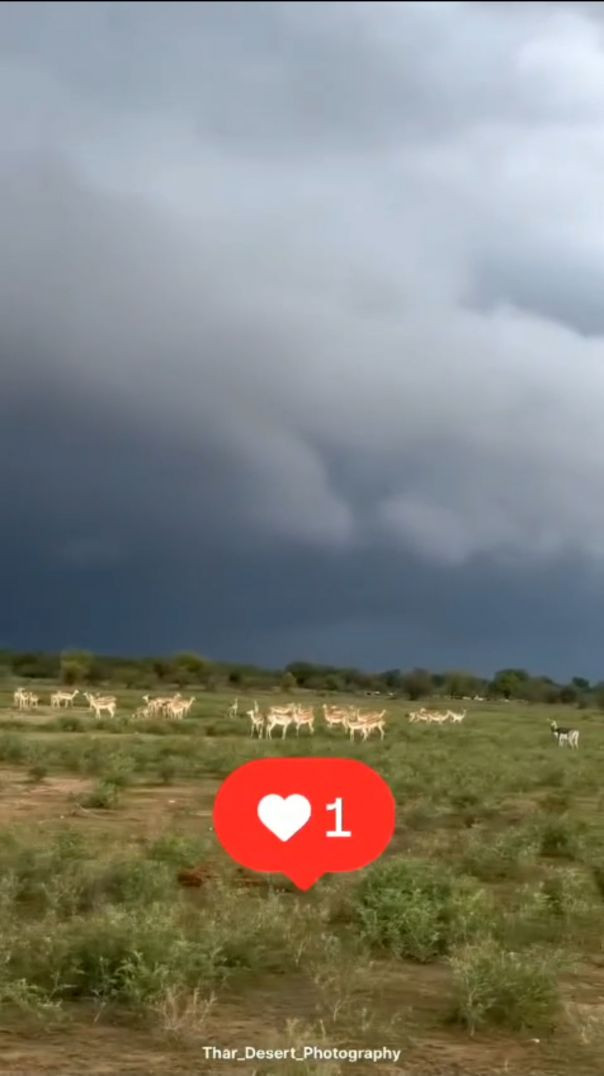 गांव का सुकून